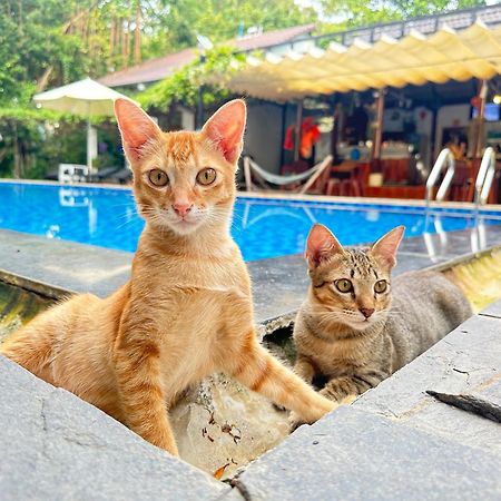 Have Fun Phu Quoc Βίλα Εξωτερικό φωτογραφία