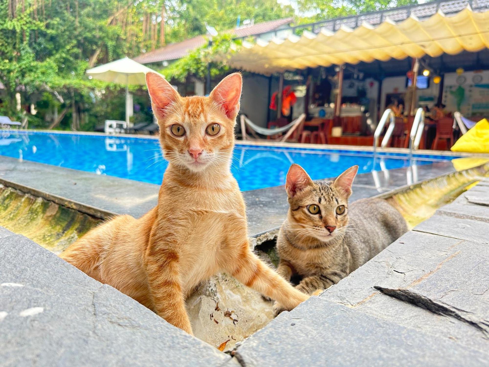 Have Fun Phu Quoc Βίλα Εξωτερικό φωτογραφία